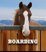 Boarding